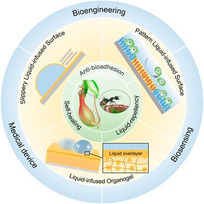 Bioinspired liquid-infused surface for biomedical and biosensing applications